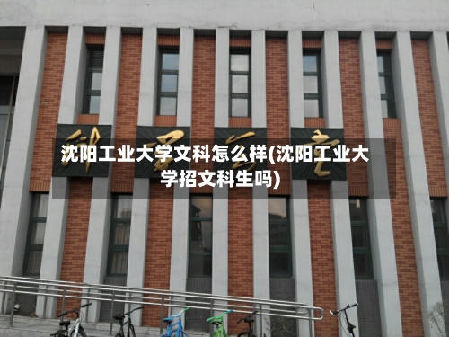 沈阳工业大学文科怎么样(沈阳工业大学招文科生吗)