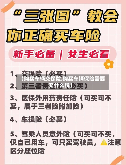 【购买车辆交保险,购买车辆保险需要交什么税】-第2张图片