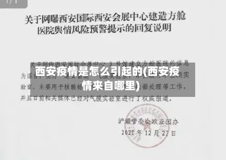 西安疫情是怎么引起的(西安疫情来自哪里)-第2张图片