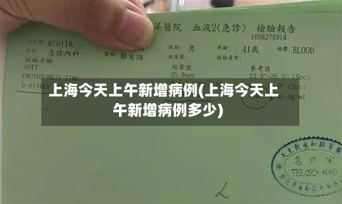 上海今天上午新增病例(上海今天上午新增病例多少)-第3张图片