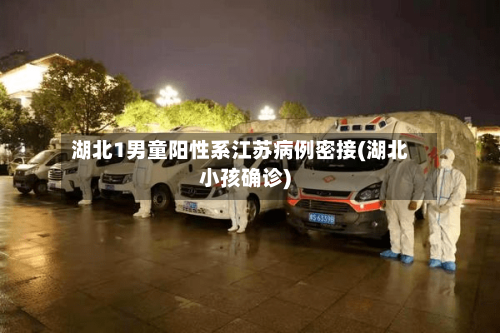 湖北1男童阳性系江苏病例密接(湖北小孩确诊)-第2张图片
