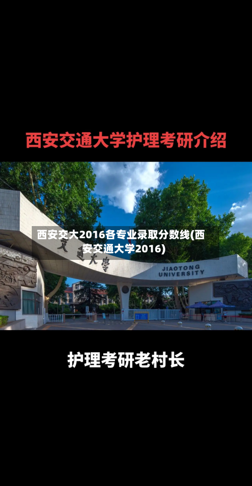 西安交大2016各专业录取分数线(西安交通大学2016)-第3张图片