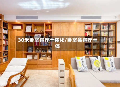 30米卧室客厅一体化/卧室会客厅一体