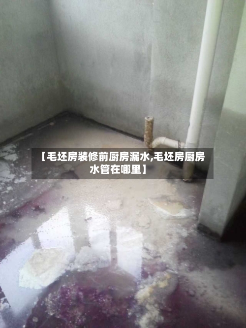 【毛坯房装修前厨房漏水,毛坯房厨房水管在哪里】-第2张图片