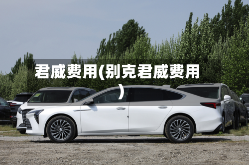 君威费用(别克君威费用)-第2张图片