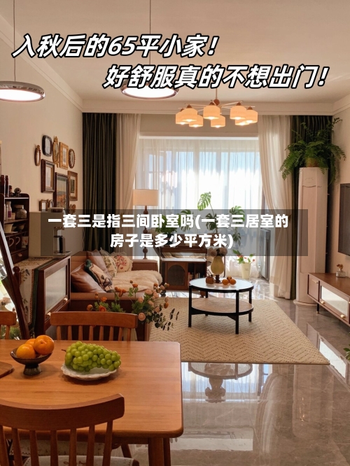 一套三是指三间卧室吗(一套三居室的房子是多少平方米)