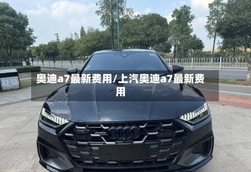 奥迪a7最新费用/上汽奥迪a7最新费用-第2张图片