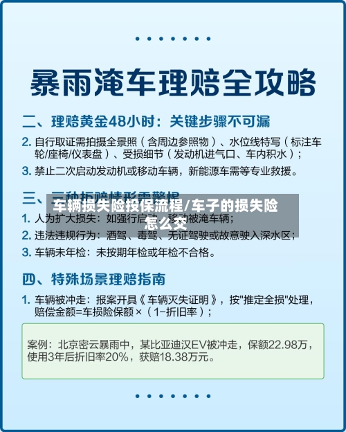 车辆损失险投保流程/车子的损失险怎么交