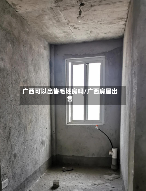 广西可以出售毛坯房吗/广西房屋出售