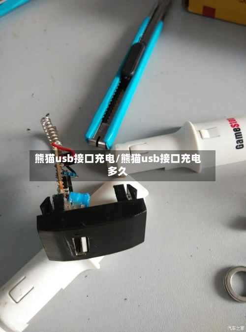 熊猫usb接口充电/熊猫usb接口充电多久