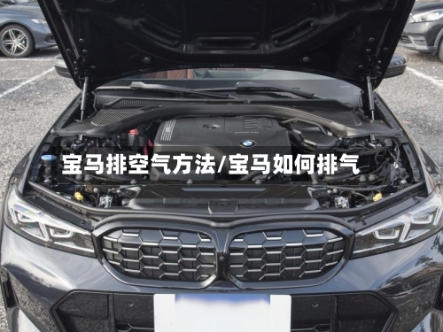 宝马排空气方法/宝马如何排气