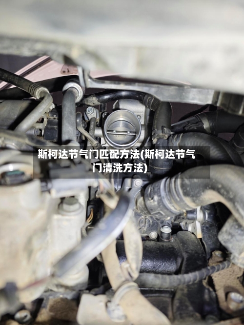 斯柯达节气门匹配方法(斯柯达节气门清洗方法)-第3张图片