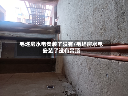 毛坯房水电安装了没有/毛坯房水电安装了没有吊顶