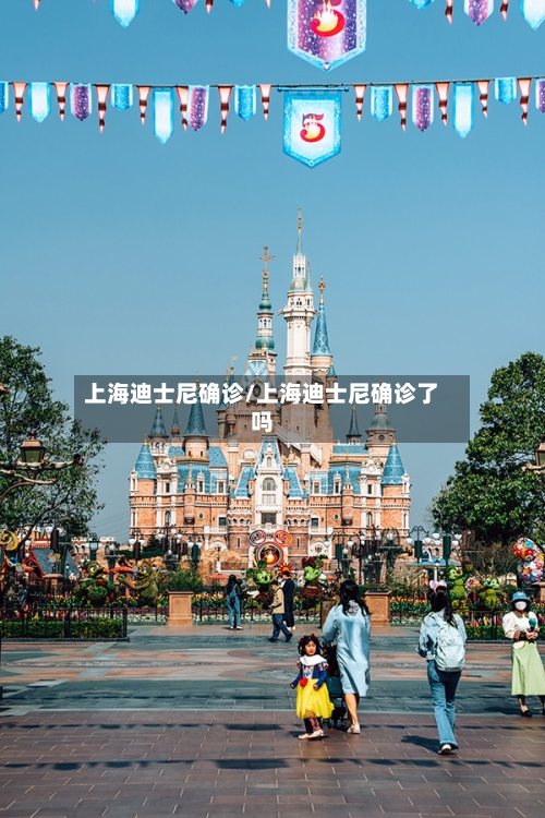 上海迪士尼确诊/上海迪士尼确诊了吗-第3张图片