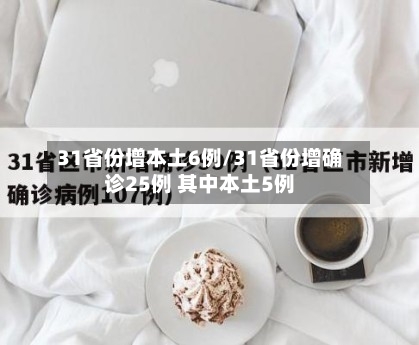 31省份增本土6例/31省份增确诊25例 其中本土5例