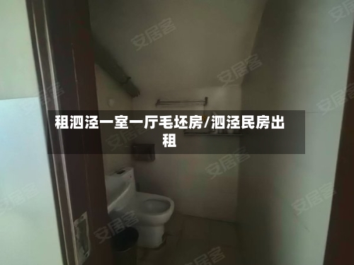 租泗泾一室一厅毛坯房/泗泾民房出租-第3张图片