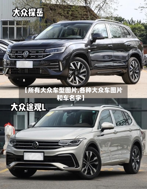 【所有大众车型图片,各种大众车图片和车名字】-第2张图片