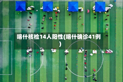 喀什核检14人阳性(喀什确诊41例)-第2张图片