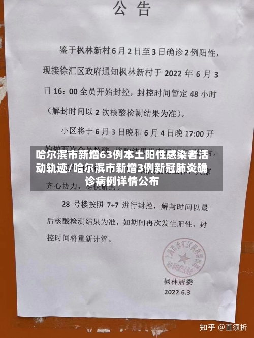 哈尔滨市新增63例本土阳性感染者活动轨迹/哈尔滨市新增3例新冠肺炎确诊病例详情公布-第2张图片