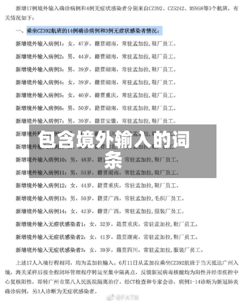 包含境外输入的词条-第3张图片