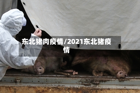 东北猪肉疫情/2021东北猪疫情
