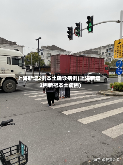 上海新增2例本土确诊病例(上海新增2例新冠本土病例)-第2张图片
