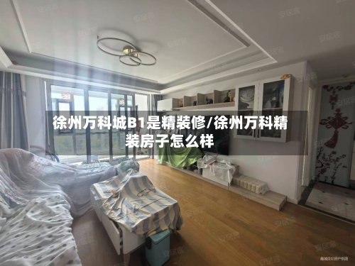 徐州万科城B1是精装修/徐州万科精装房子怎么样-第2张图片