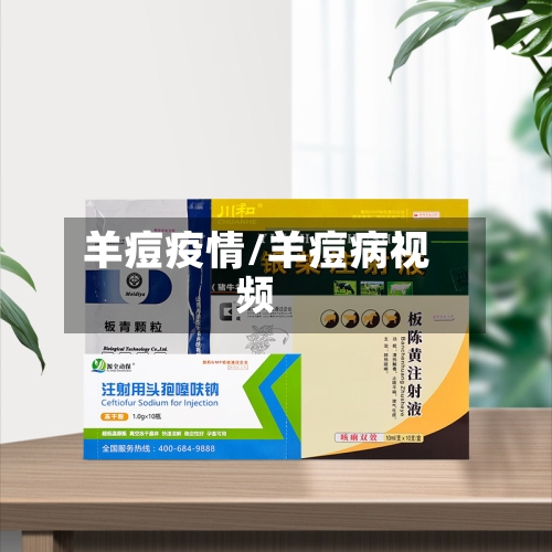 羊痘疫情/羊痘病视频