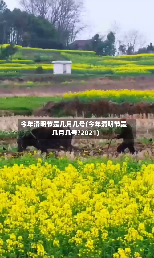 今年清明节是几月几号(今年清明节是几月几号?2021)-第3张图片