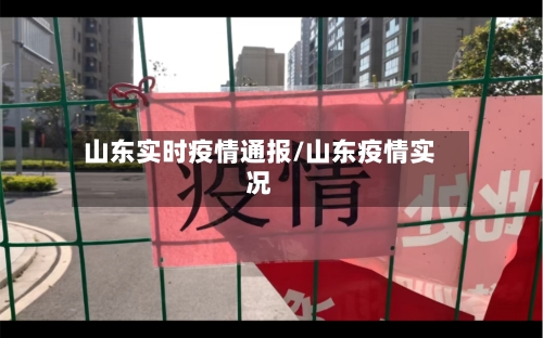 山东实时疫情通报/山东疫情实况-第3张图片