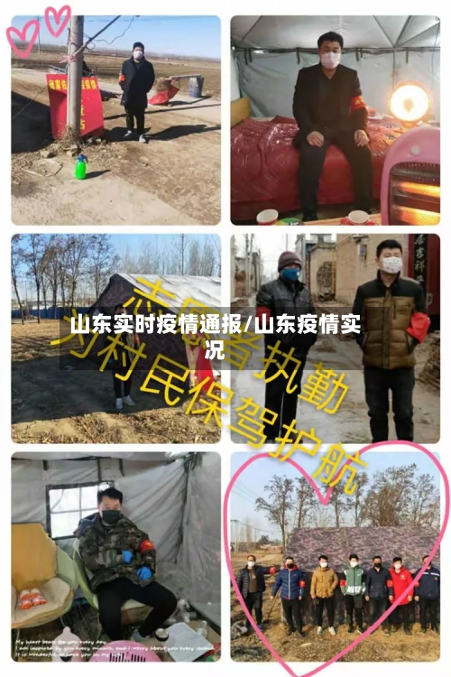 山东实时疫情通报/山东疫情实况