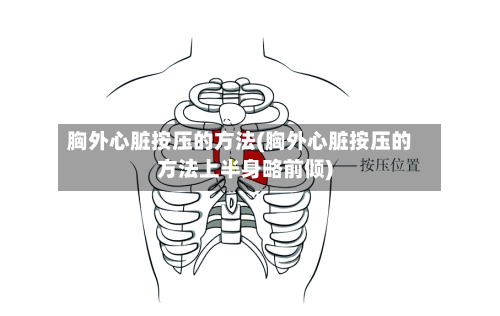胸外心脏按压的方法(胸外心脏按压的方法上半身略前倾)