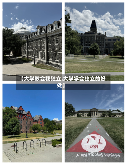 【大学教会我独立,大学学会独立的好处】-第2张图片