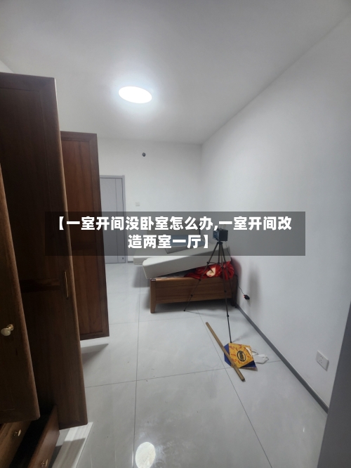 【一室开间没卧室怎么办,一室开间改造两室一厅】-第2张图片