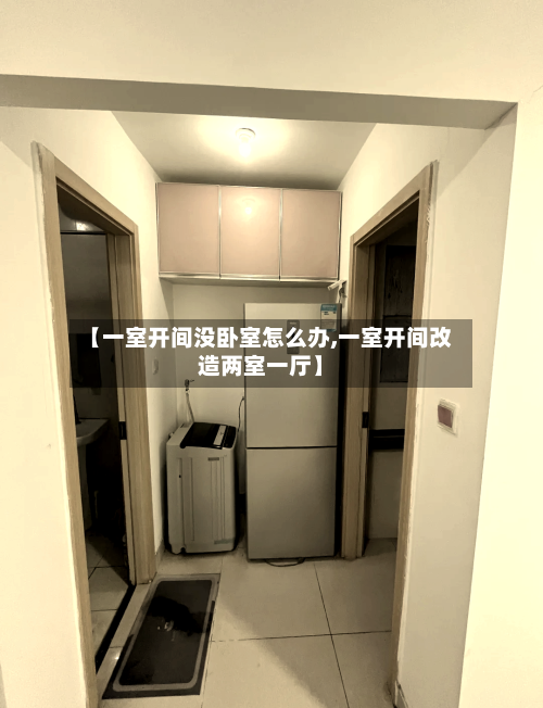 【一室开间没卧室怎么办,一室开间改造两室一厅】-第3张图片