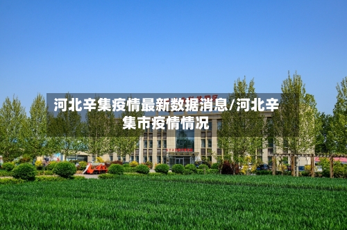 河北辛集疫情最新数据消息/河北辛集市疫情情况-第2张图片