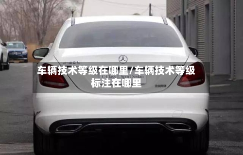 车辆技术等级在哪里/车辆技术等级标注在哪里-第2张图片