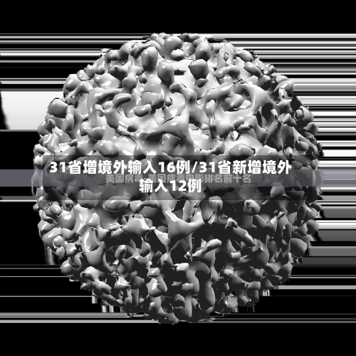 31省增境外输入16例/31省新增境外输入12例