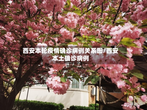 西安本轮疫情确诊病例关系图/西安本土确诊病例