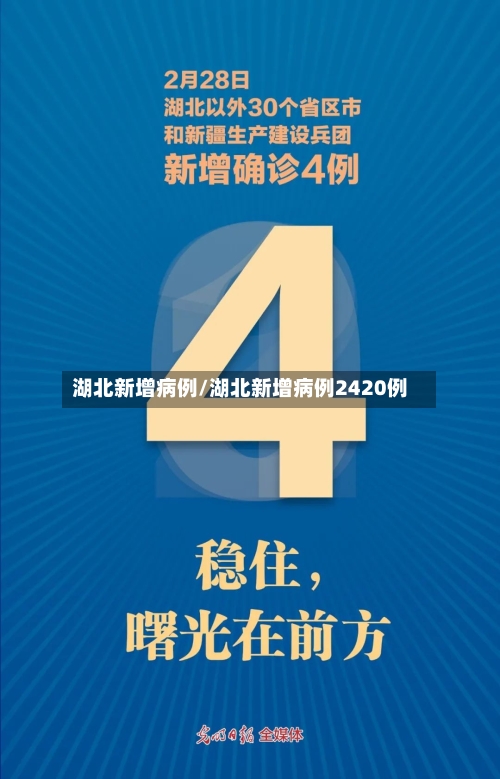 湖北新增病例/湖北新增病例2420例