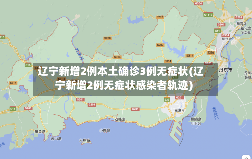 辽宁新增2例本土确诊3例无症状(辽宁新增2例无症状感染者轨迹)-第2张图片