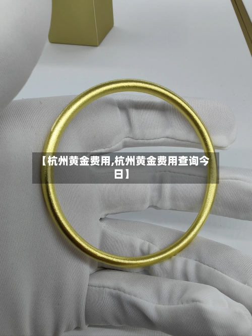 【杭州黄金费用,杭州黄金费用查询今日】-第3张图片