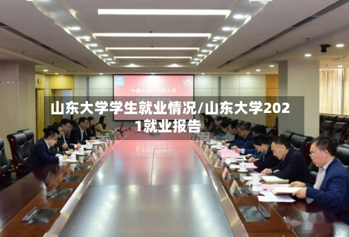 山东大学学生就业情况/山东大学2021就业报告