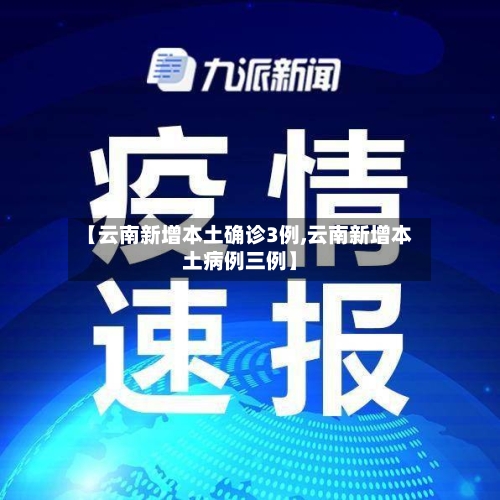 【云南新增本土确诊3例,云南新增本土病例三例】-第2张图片