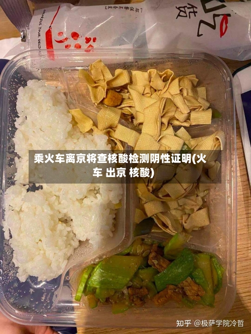 乘火车离京将查核酸检测阴性证明(火车 出京 核酸)-第3张图片