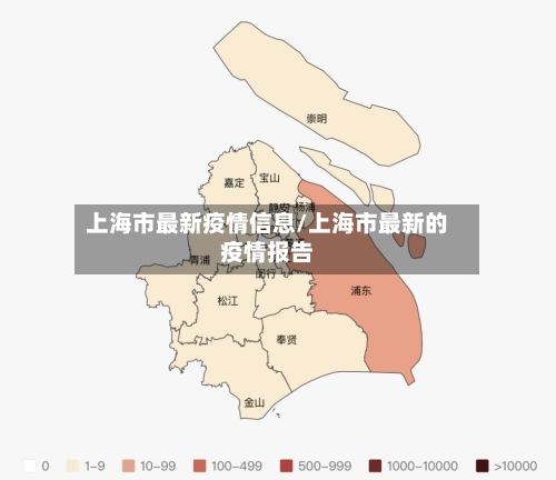 上海市最新疫情信息/上海市最新的疫情报告-第2张图片