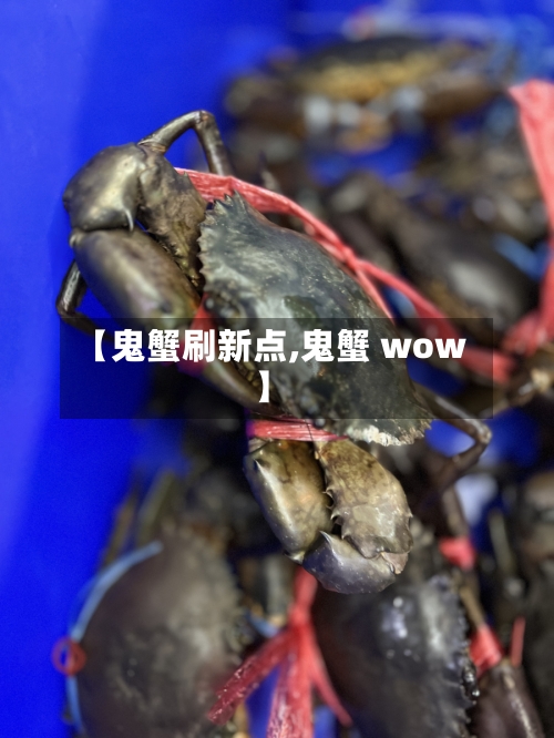 【鬼蟹刷新点,鬼蟹 wow】