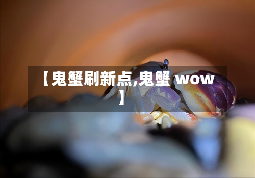 【鬼蟹刷新点,鬼蟹 wow】-第2张图片