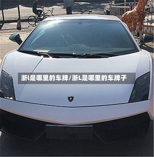 浙l是哪里的车牌/浙L是哪里的车牌子
