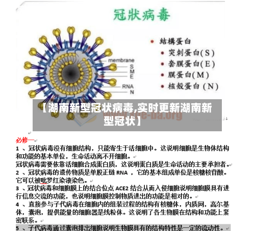 【湖南新型冠状病毒,实时更新湖南新型冠状】